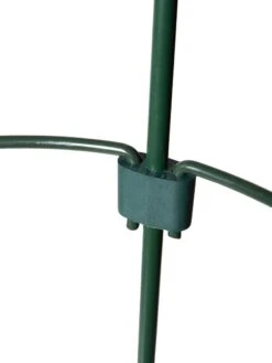 Peacock Mini Plant Support Rings 4", Set Of 2 -The Garden Works Shop 8610387 9577