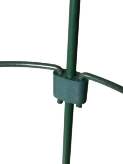 Peacock Mini Plant Support Rings 8", Set Of 2 -The Garden Works Shop 8610387 9577 tif 1