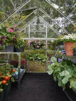 Canopia® By Palram Harmony™ Greenhouse, 6' X 14' -The Garden Works Shop 8610563 03V jpg