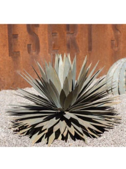 Desert Steel Yucca Plant Sculpture -The Garden Works Shop 8610744 02v