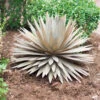 Desert Steel Yucca Plant Sculpture -The Garden Works Shop 8610744 03v desert steel yucca plant