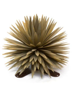 Desert Steel Yucca Plant Sculpture -The Garden Works Shop 8610744 05v