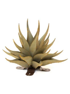 Desert Steel Sharkskin Agave Sculpture 12 Desert Steel Sharkskin Agave Sculpture -The Garden Works Shop 8610754 01v desert steel sharkskin agave small