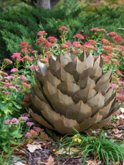 Desert Steel Artichoke Agave Sculpture -The Garden Works Shop 8610761 03v