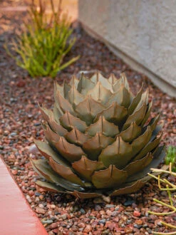 Desert Steel Artichoke Agave Sculpture -The Garden Works Shop 8610761 042v