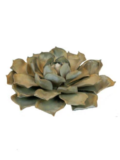 Desert Steel Blue Rose Succulent Sculpture 11 Desert Steel Blue Rose Succulent Sculpture -The Garden Works Shop 8610763 01v desert steel blue rose succulent small