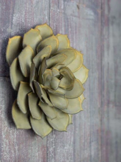 Desert Steel Blue Rose Succulent Sculpture 10 Desert Steel Blue Rose Succulent Sculpture -The Garden Works Shop 8610764 02v