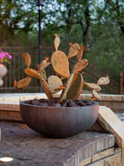 Desert Steel Prickly Pear Cactus Sculpture, Redondo -The Garden Works Shop 8610768 03v