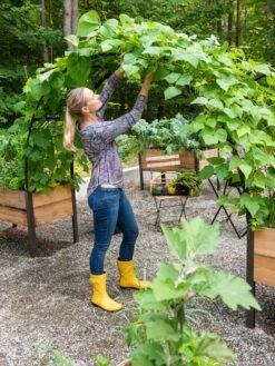 2’ X 8’ Arch Trellis For Planter Boxes 15 2’ X 8’ Arch Trellis For Planter Boxes -The Garden Works Shop 8610798 050 tif