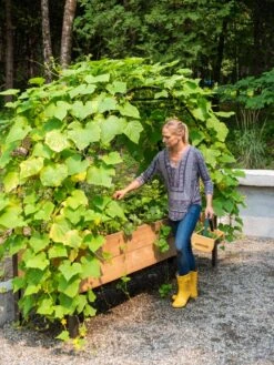 Front Page -The Garden Works Shop 8610798 062 tif