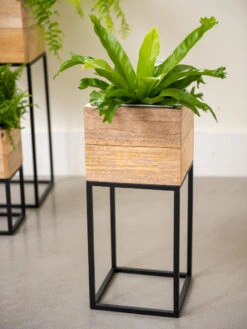 Tartu Elevated Square Planters 15 Tartu Elevated Square Planters -The Garden Works Shop 8611005 035