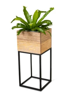 Tartu Elevated Square Planters 20 Tartu Elevated Square Planters -The Garden Works Shop 8611005 036
