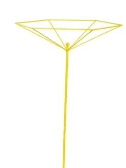 Parasol Plant Supports, Set Of 3 -The Garden Works Shop 8611129 3844 tif