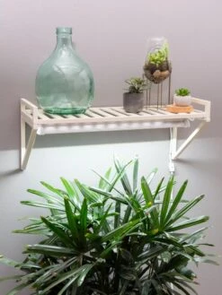 Oslo LED Grow Light Wall Shelf