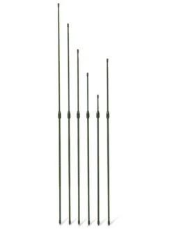 Titan Extendable Stakes, Set Of 6 -The Garden Works Shop 8611667 3070 tif