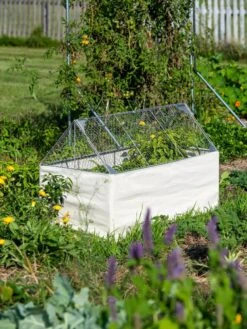 Crop Coop Covers Set -The Garden Works Shop 8611698 005 tif