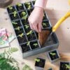 Self-Watering Galvanized Seed Starting Tray -The Garden Works Shop 8611714 029 tif 1