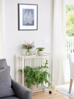 Featured Products -The Garden Works Shop 8611766 0044 tif