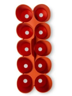 Sili-Seedlings® Seedling Tray, 10-Cell -The Garden Works Shop 8611886 3821 tif