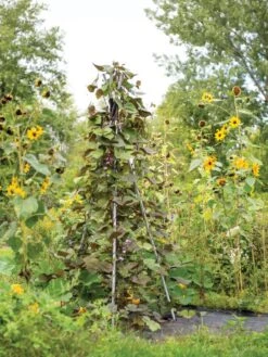 DIY Connector For Teepee Trellis -The Garden Works Shop 8611896 062 tif