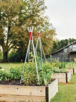 DIY Connector For Teepee Trellis -The Garden Works Shop 8611896 71 tif