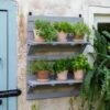 VegTrug® Herb Rack -The Garden Works Shop 8611930 6402 tif