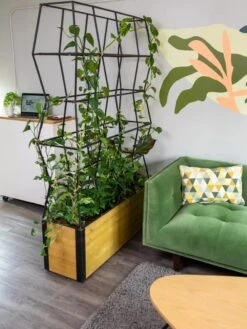 Self-Watering Partition Planter -The Garden Works Shop 8611952 001 tif