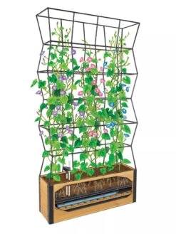 Self-Watering Partition Planter -The Garden Works Shop 8611952 art 3 4