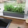 Provence Self-Watering Herb Planter -The Garden Works Shop 8611965 01V tif