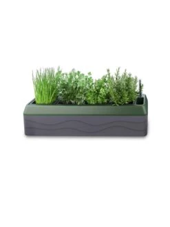 Provence Self-Watering Herb Planter -The Garden Works Shop 8611965 03V tif