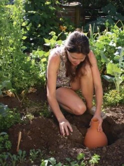 Hydro Max Watering System 11 Hydro Max Watering System -The Garden Works Shop 8611967 15V tif