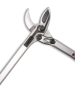 Castellari Long-Handled Anvil Lopper 11 Castellari Long-Handled Anvil Lopper -The Garden Works Shop 8611970 007 tif