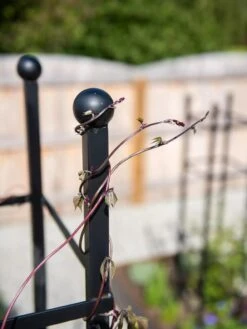 Essex Square Obelisk -The Garden Works Shop 8611984 278 tif