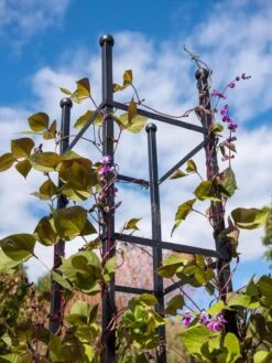 Essex Square Obelisk -The Garden Works Shop 8611984 354 tif