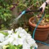 Indoor Outdoor Plant Sprayers -The Garden Works Shop 8611993 029 tif