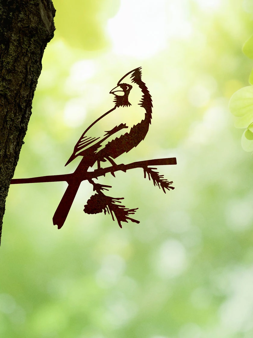 Metalbird Cardinal 3 Metalbird Cardinal