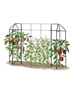 Zenith Trellis -The Garden Works Shop 8612035 art tif
