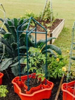 Deluxe Tomato Halos, Set Of 2 -The Garden Works Shop 8612045 221 tif