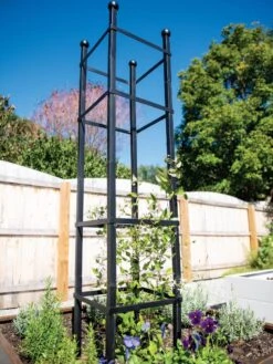 Front Page 38 Essex Square Obelisk