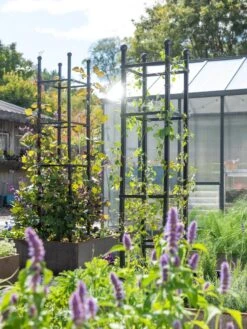 Front Page -The Garden Works Shop 8612046 346 tif