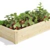 Pine Raised Garden Bed, 2'x4'x10.5" High 2 Pine Raised Garden Bed, 2'x4'x10.5" High -The Garden Works Shop 8612256 02V jpg
