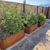 Nice Corten Trough Planters With Trellis -The Garden Works Shop 8612390 02V jpg
