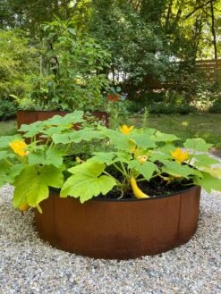 Birdies™ Corten Steel Round Raised Beds -The Garden Works Shop 8612422 0484 tif
