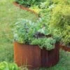Birdies™ Corten Steel Round Raised Beds 2 Birdies™ Corten Steel Round Raised Beds -The Garden Works Shop 8612423 1537 tif