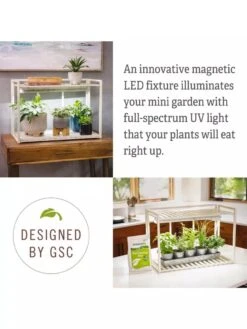 Tabletop Grow Kit -The Garden Works Shop 8612507 4