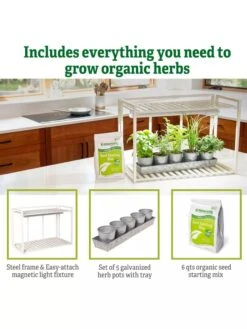 Tabletop Grow Kit -The Garden Works Shop 8612507 6