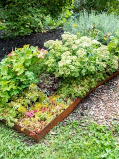Corten Angle Landscape Edging 44", Set Of 2 8 Corten Angle Landscape Edging 44", Set Of 2 -The Garden Works Shop 8612634 0020