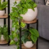 Double Tower Plant Stand -The Garden Works Shop 8612683 2228 double tower plant stand