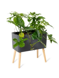 Ava Self-Watering Rectangular Planter -The Garden Works Shop 8612691 0013