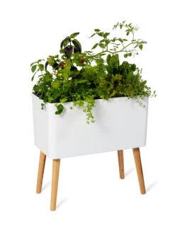 Ava Self-Watering Rectangular Planter -The Garden Works Shop 8612691 0014